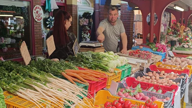Piaci barangolás a hosszú hétvégén

A hosszú hétvége remek alkalmat kínál arra, hogy felfedezzük a helyi piacok kínálatát. A reggel első fényei már a friss zöldségek és gyümölcsök illatát hozzák elénk, miközben a standok színes kavalkádja várja az érdeklő