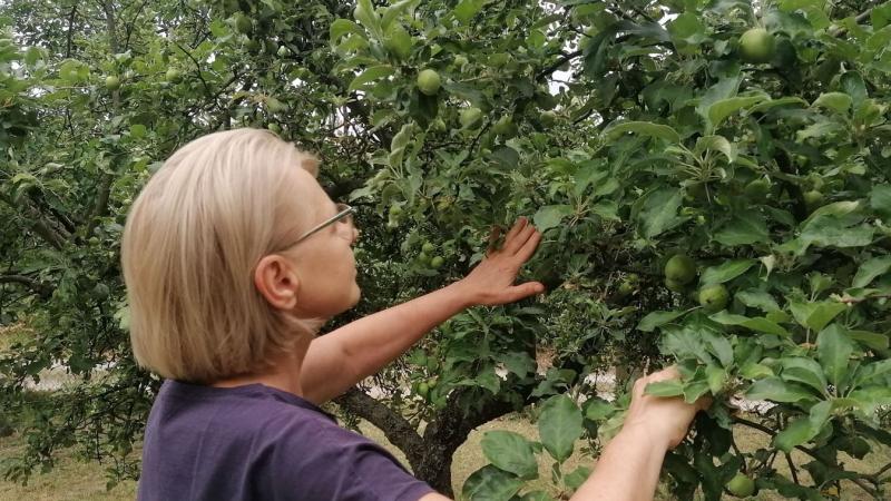 Megnehezítik a mindennapjaidat, de most felfedjük előtted, hogyan vehetnéd fel velük a harcot!