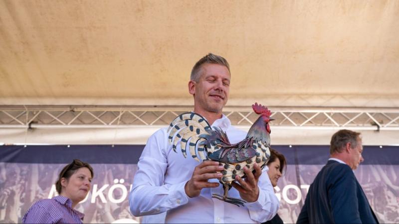 Magyar Péter véleménye szerint érdemes ingyenes élelmiszercsomagokat és CBA utalványokat kínálni.